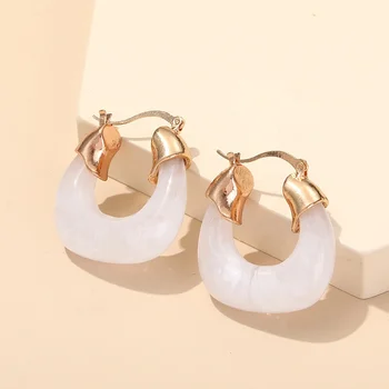 2021Autumn Winter Colour Double Oval Polygon Resin Acrylic Jewelry Earring