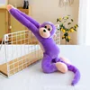 Violeta