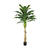 Verde-6
