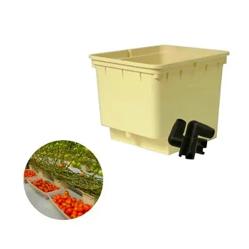 High Quality Low Cost Plastic Vegetables Fruit Culture Growing Dutch Bucket Hydroponic System