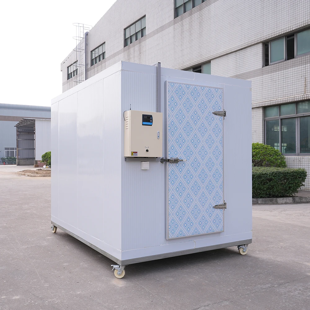 20ft Mini Easy Operate Cold Room Supplier Sale Container Commercial Refrigeration Compressor Unit Freezer Storage Room for Meat