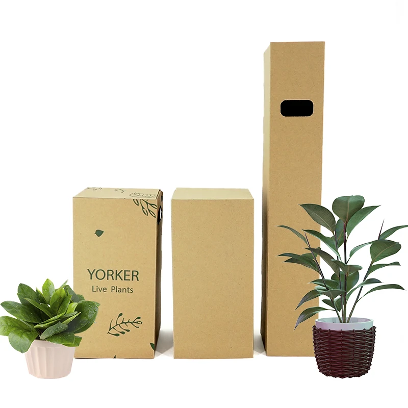 Wholesale Customized Recyclable Paper Succulent Pot Plant Packaging Box Long Cardboard Live Cactus Plant Shipping Carton Box