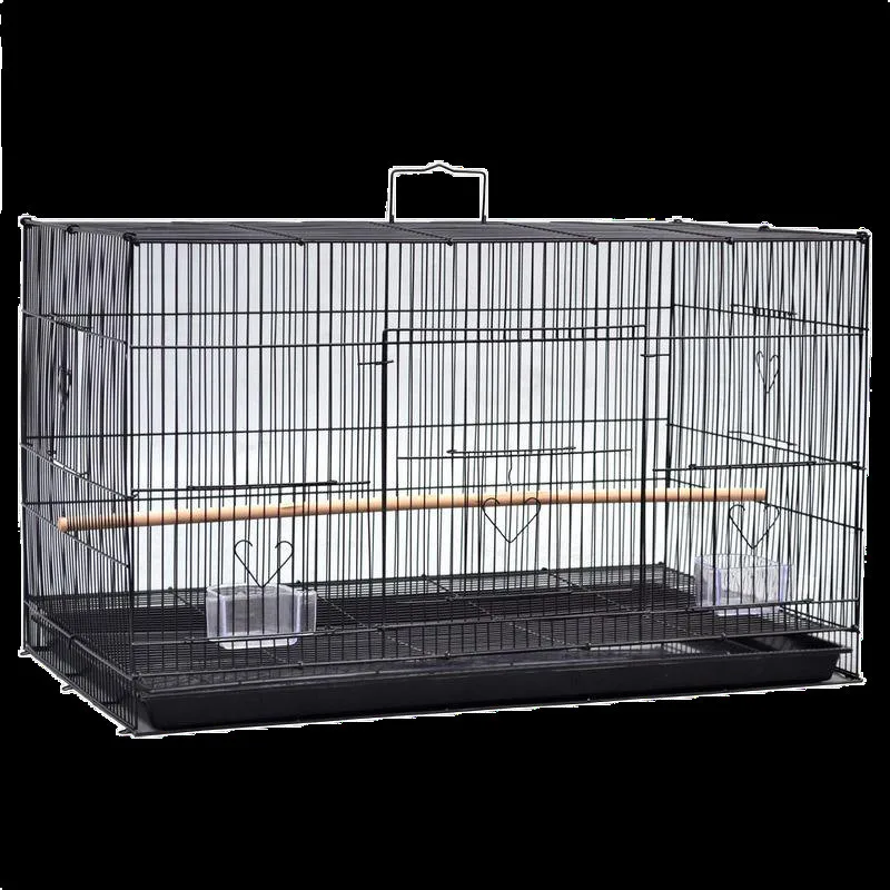 Photo inspiration: Alibaba Com Wholesale Large Parrot Canary Bird Breeding Transport Photo Inspiration