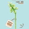 087a eucalyptus leaves 73 pcs 008 kg