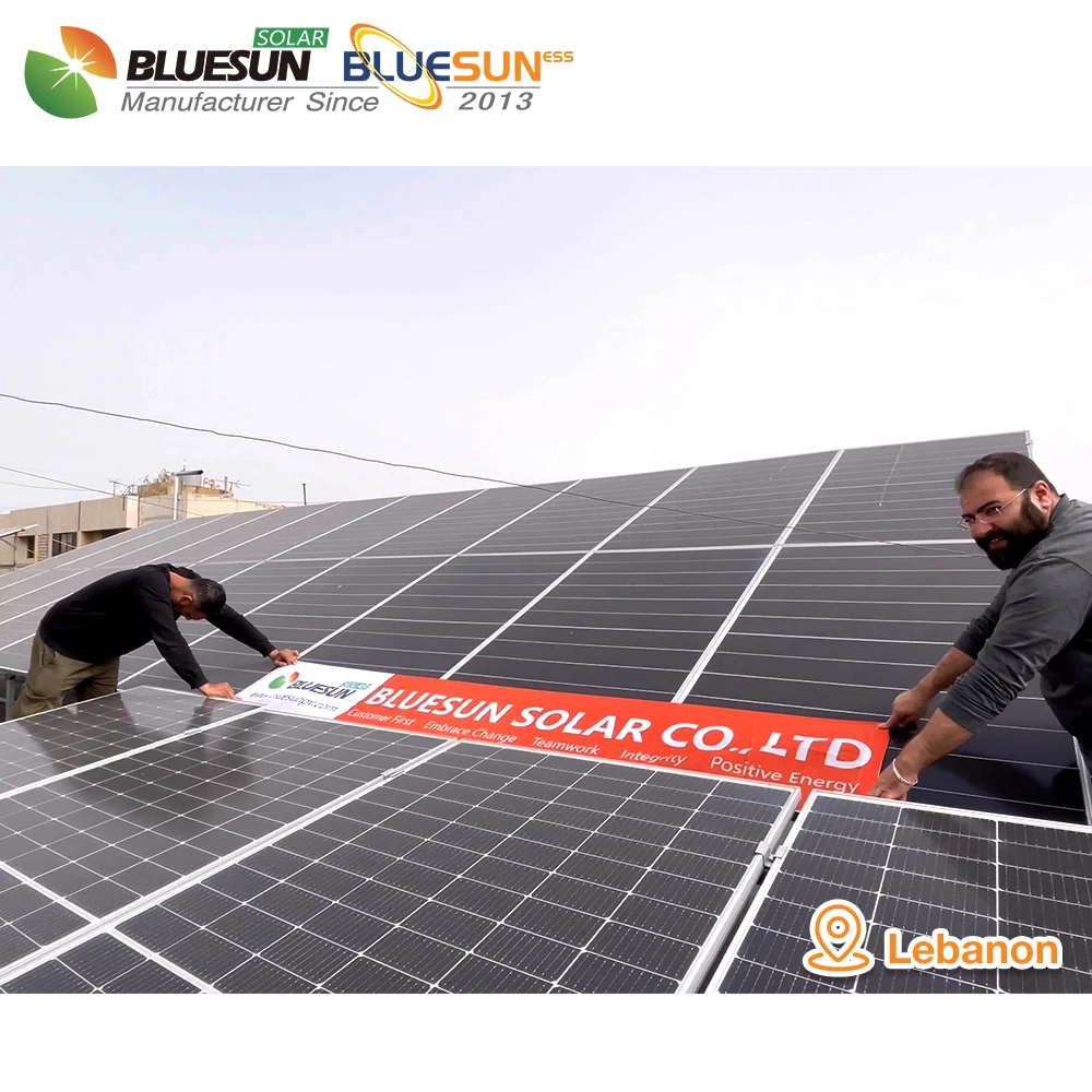 Bluesun Complete Set Bluesun Solar Panel Inverter 12kw Solar Power Hybrid Inverter for Bulgaria Market