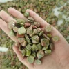 unakite