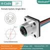 M12-A-3 female