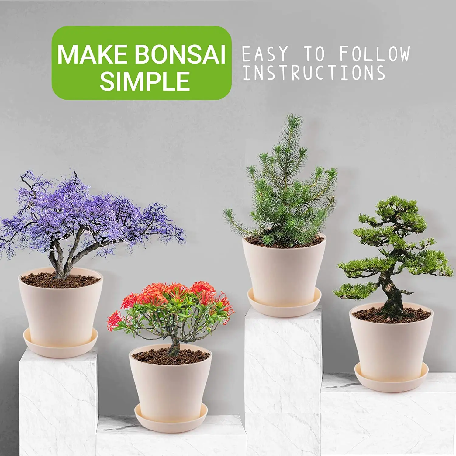 Mydays Indoor Bonsai Tree Kit Bonsai Tree Starter Plant Kit Beginner
