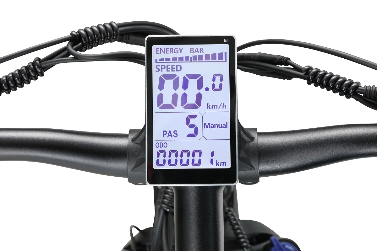 Vélo électrique Fat Bike 1000W Neuf - Roues 20 Pouces, Vitesse Max 45 Km/h, Noir