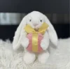 Lapin câlin - 18 cm