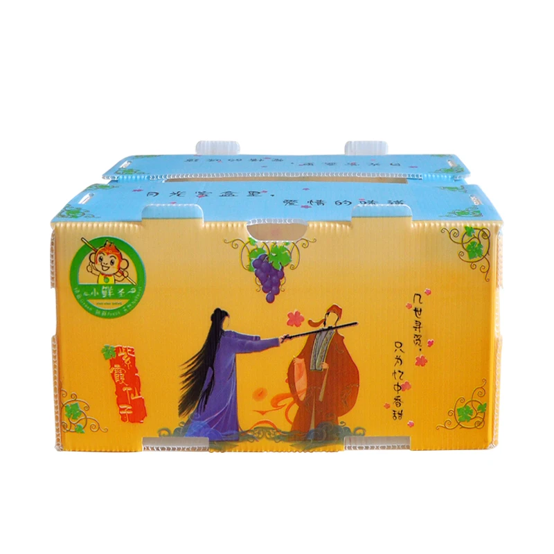 Custom Silk Printing Foldable Corns Packaging Corrugated Plastic box