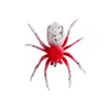 Red-headed white