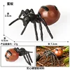 colorida hormiga honeypot M-3580