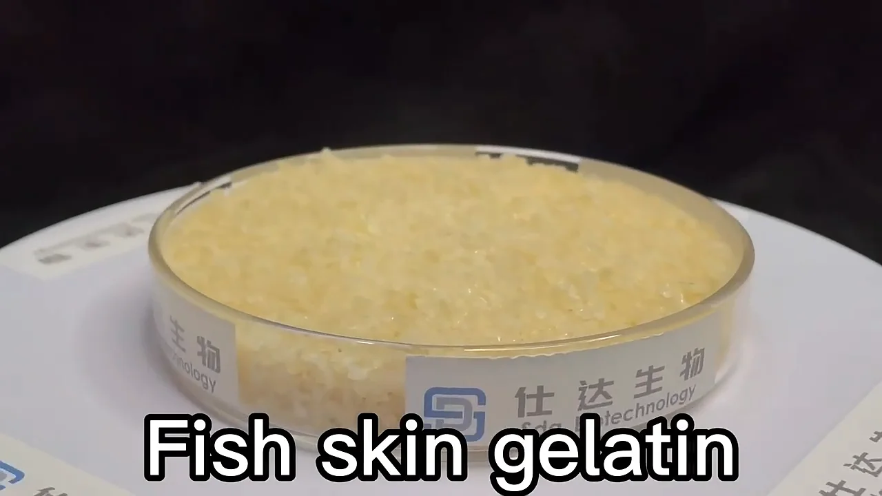 200 Bloom Beef Gelatin Powder Gelatin Powder Edible Halal Gelatin For