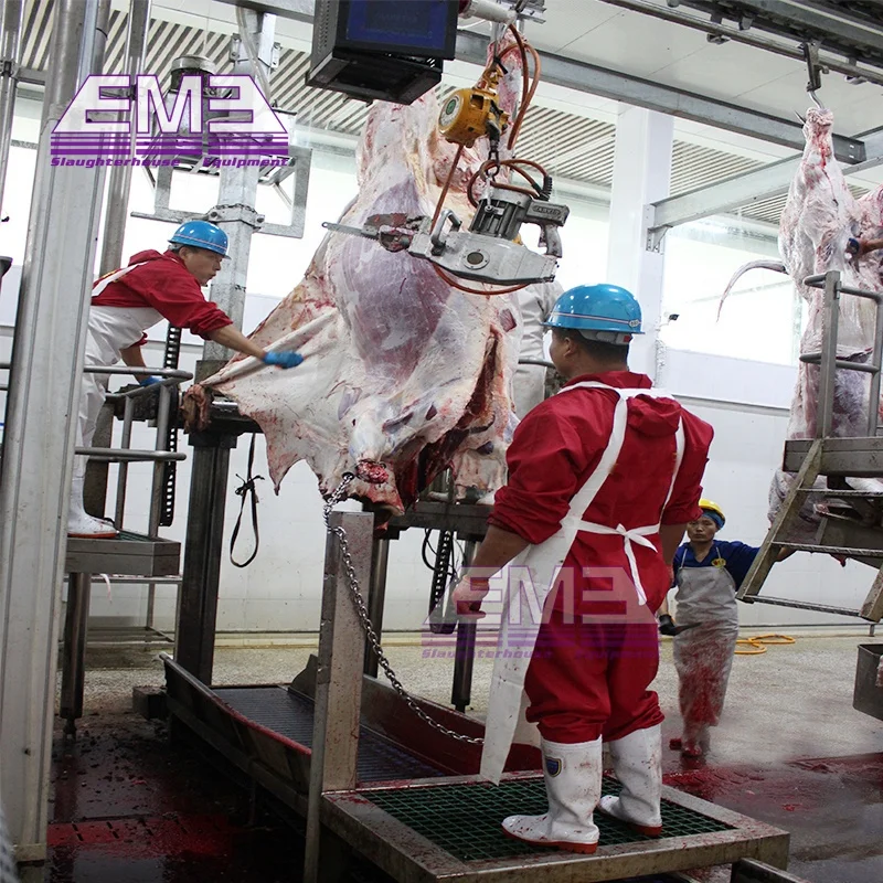 Complete Slaughterhouse 100 Cattle Abattoir Equipment Cow Carcass ...