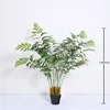 Debao Cycas revoluta 140cm (comes with black base)