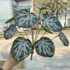 12 fork begonia leaves