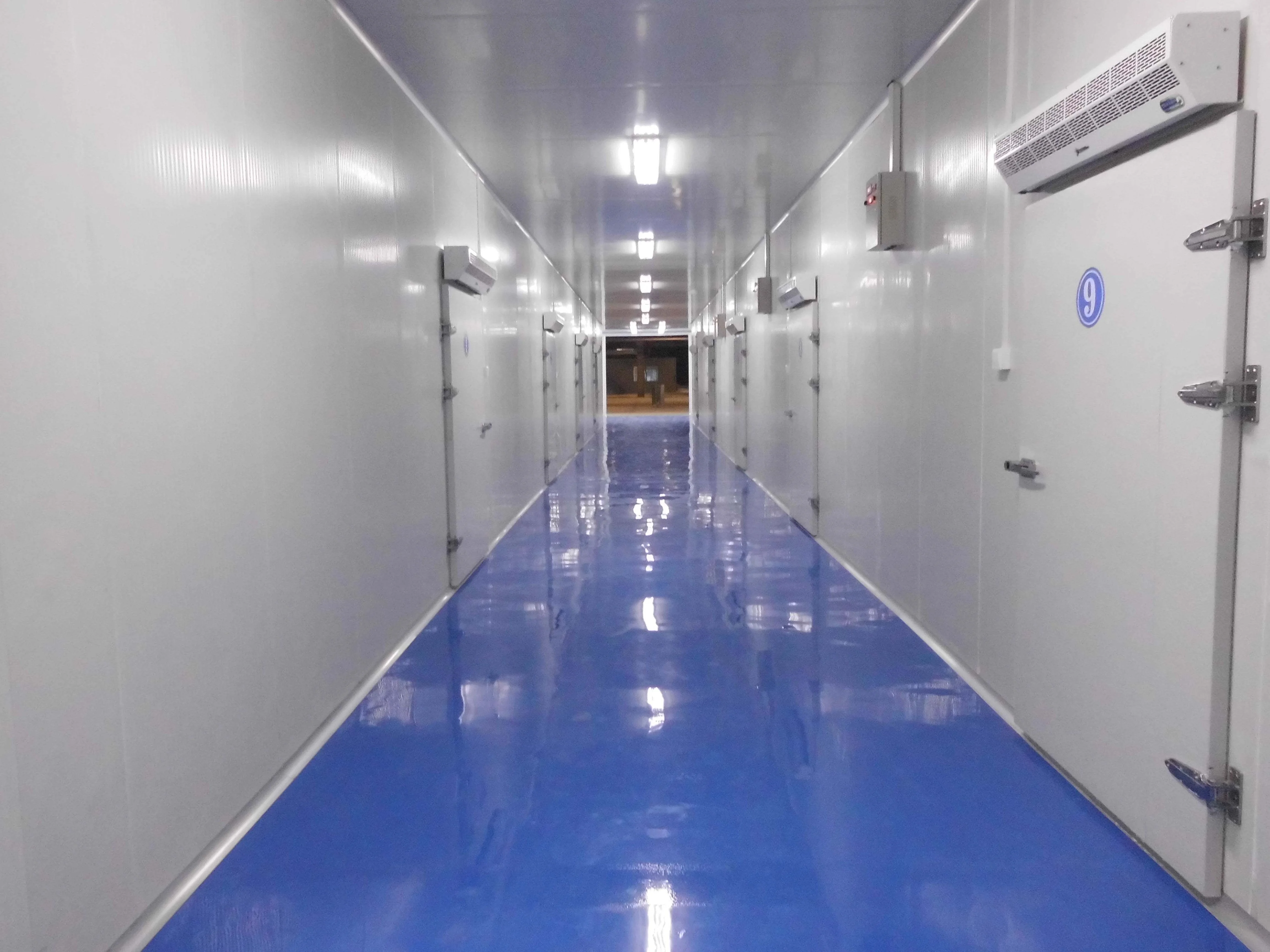 Industrial Walk in Freezer Mobile Container Cold Storage Blast Freezer Room Cooler Rooms for Meat