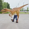 raptor