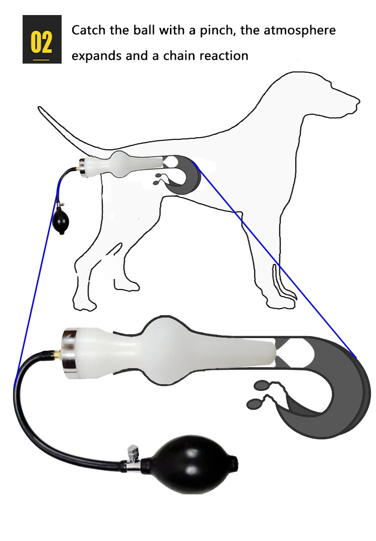 Canine insemination kit hotsell