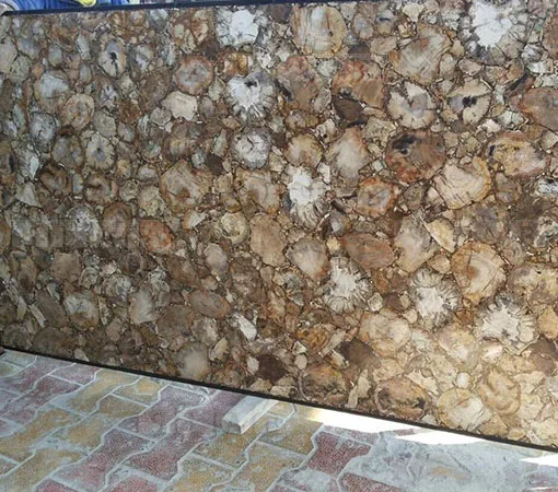 Brown fossil Stone Petrified Wood Semiprecious Stones Slab Table Price