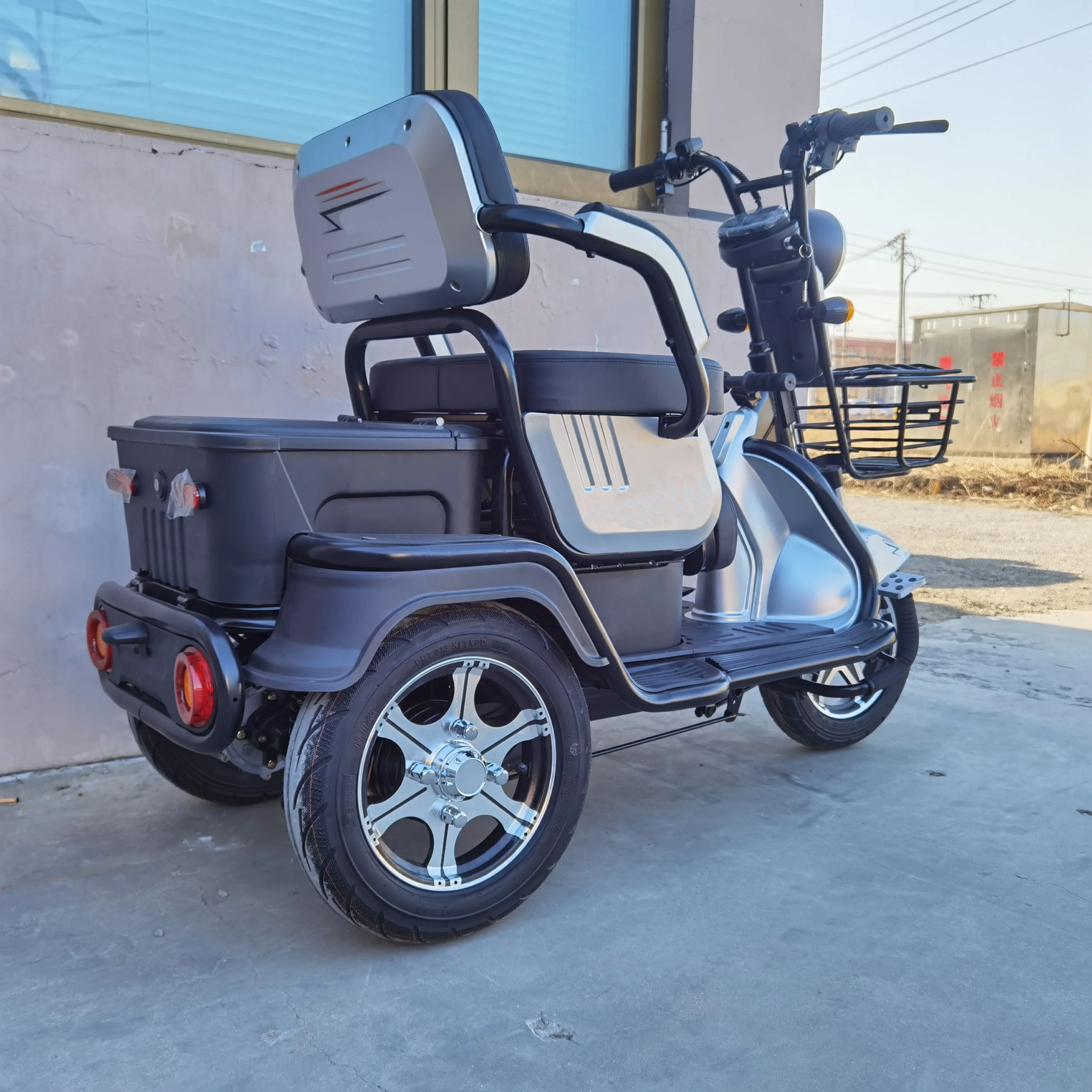 Three Wheel Electric Motor Bike Adult 
