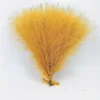 Amarillo dorado