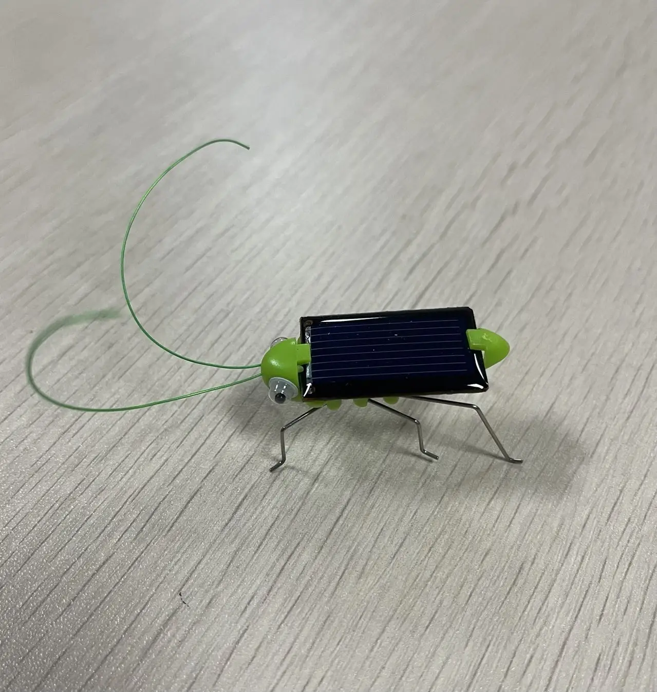 mini solar grasshopper /solar toy/educational toy for kids