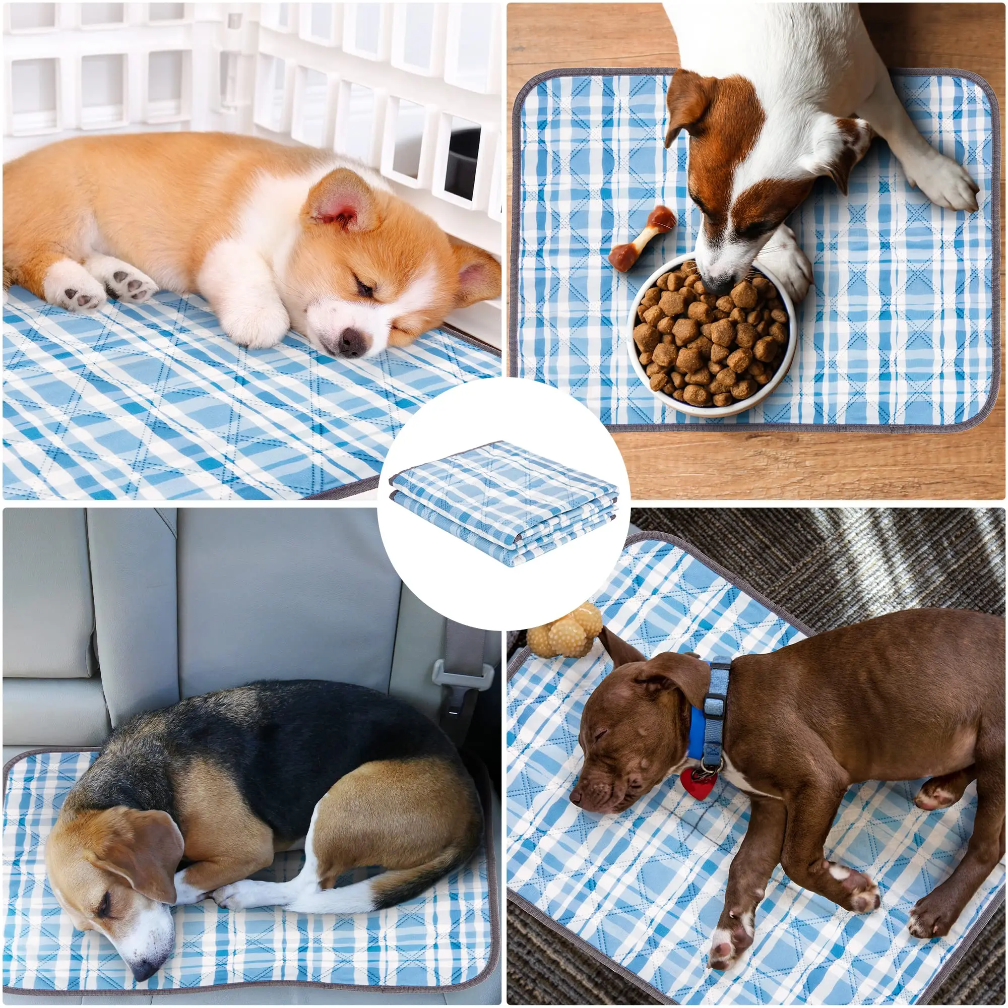 Puppy Training Mats