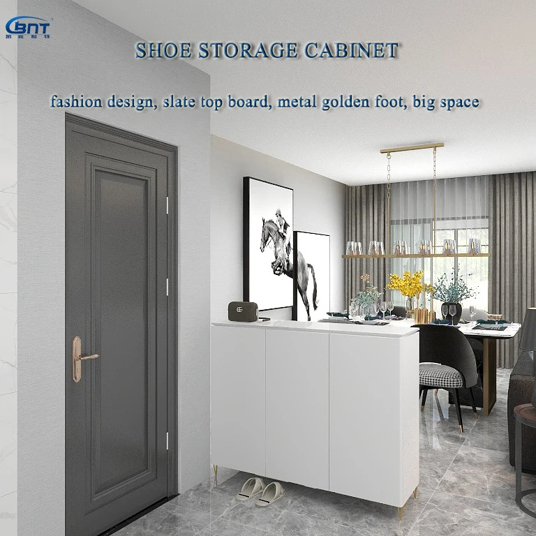 Big Capacity Bedroom Metal Shoe Storage Cabinet Assembly Required