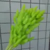 Menta