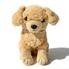 Golden Retriever seduto 28 cm-02 kg