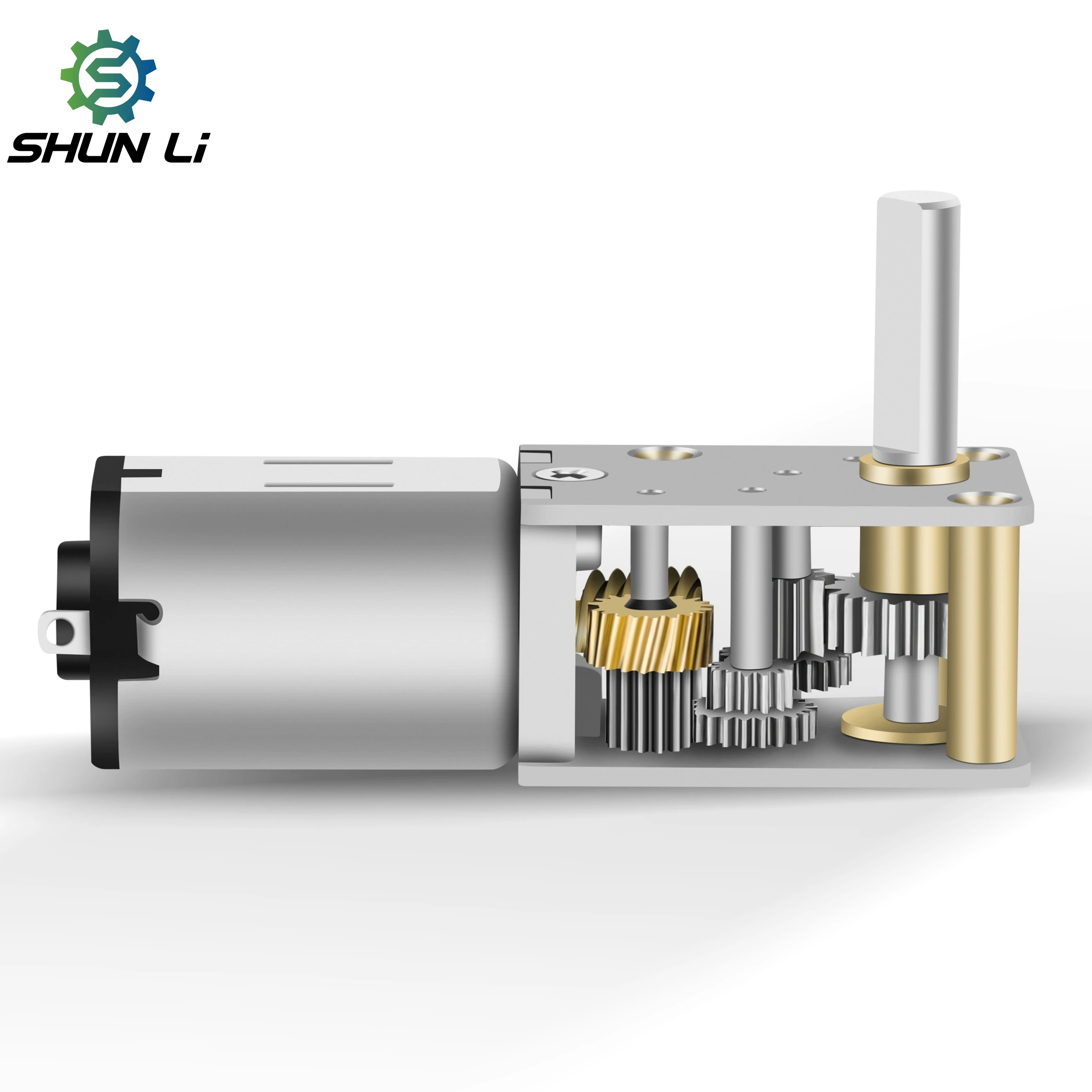 Shunli OEM Customized Worm Gear Set 3v 6v 12v Mini Dc Gear Motor With Gearbox 3D Printing Pen