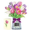 Tulipano