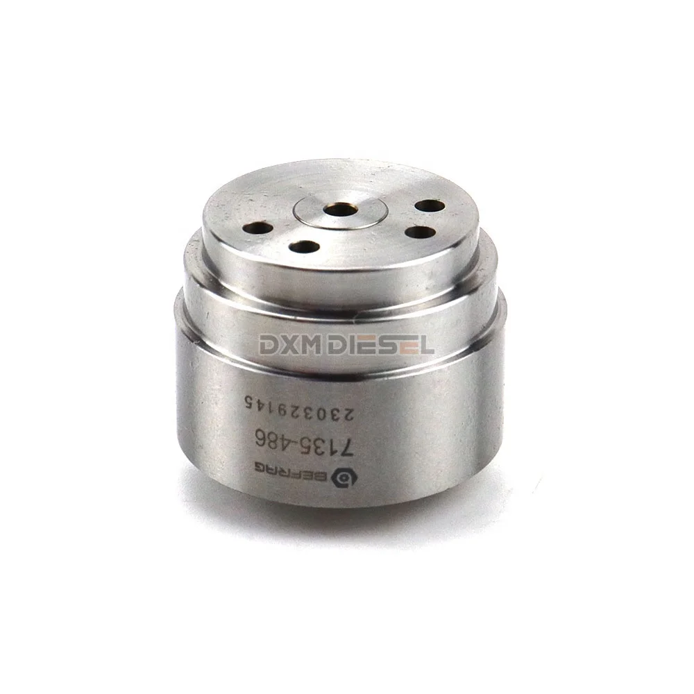 Befrag品牌优质新型共轨执行器套件/控制阀7135-486，用于喷油器