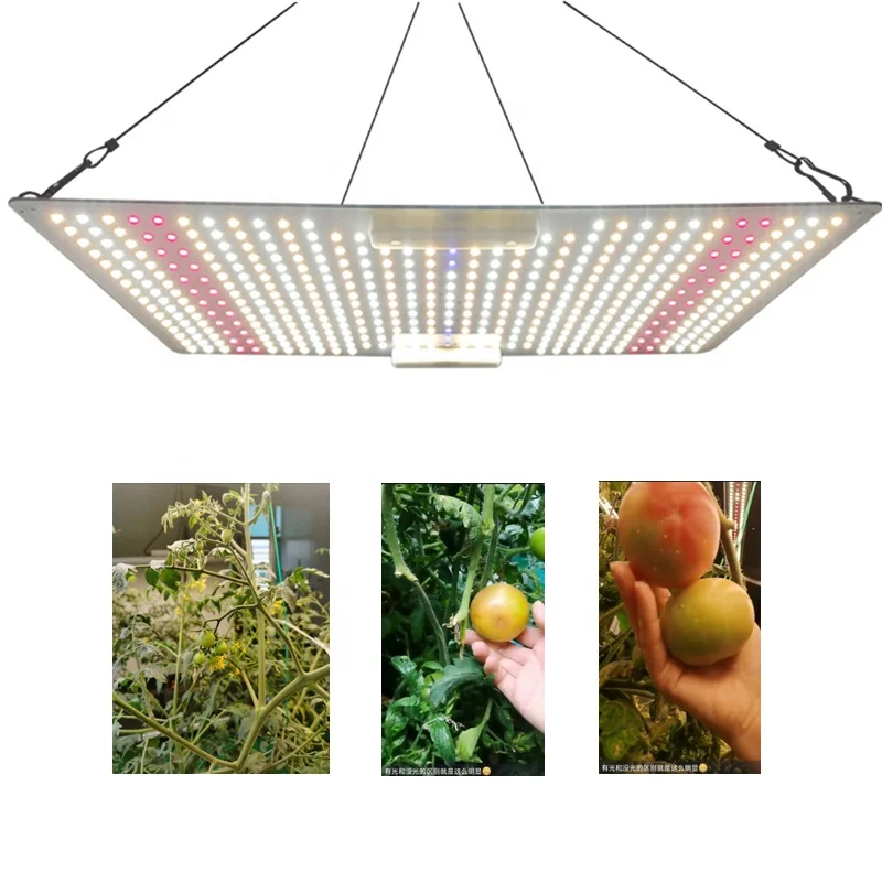 Newspectrum 110V 220V LED Grow Panel 3000K 5000K 660NM 730NM 395NM UV IR Full Spectrum Quantum Grow Light 150W
