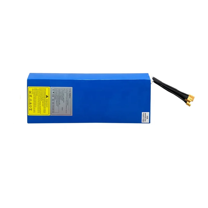 Batterie Lithium 60V 30Ah – Pour Scooter, Vélo électrique, Trottinette | Avec Chargeur | BMS De Protection | Léger (1,9 Kg), Installation Facile - 12