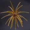 C006