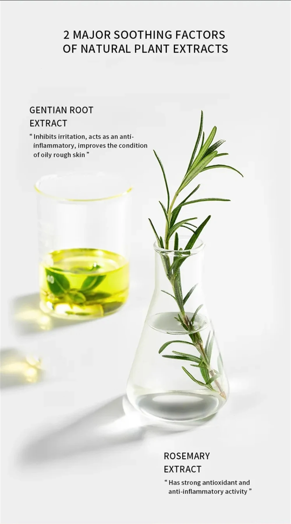 Organic Rosemary Mint Scalp & Hair Strengthening Oil Infused Biotin