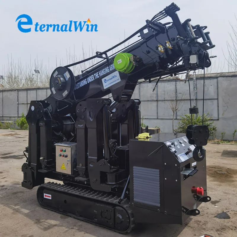 3T 5T Telescopic Boom Mini Crawler Spyder Crane for Sale