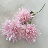 5# Rosa, 3 bolas de crisantemo de llama