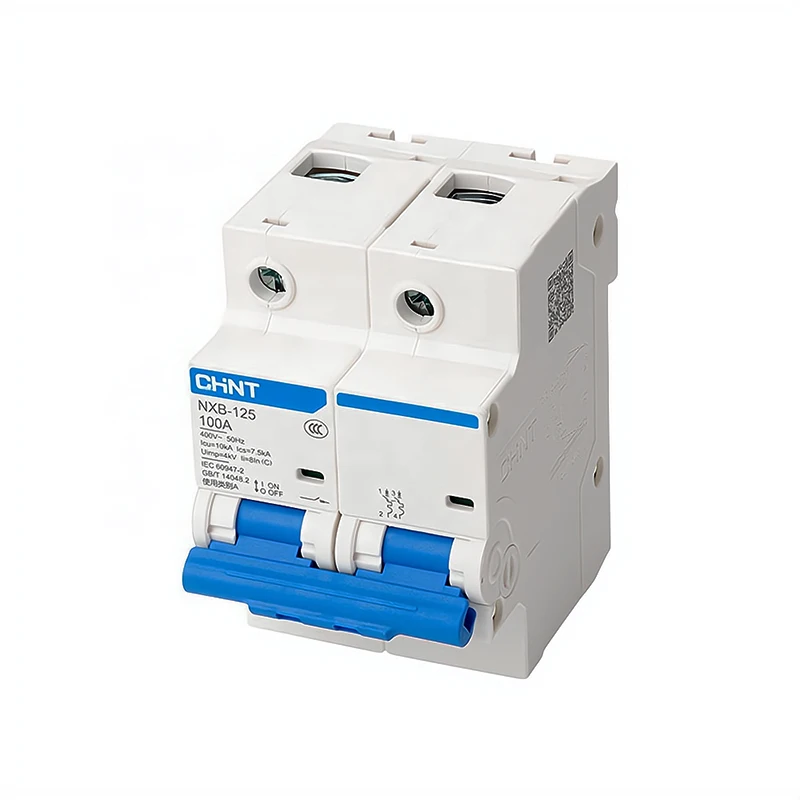 CHINT Double Pole 125A MCB Main Switch DP 125A CHINT MCB Circuit Breaker NXB 2P 100A MCB 10kA CHINT Miniature Circuit Breaker