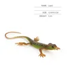 lizard