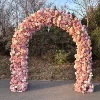 ARCH435-ชมพู