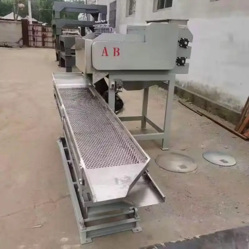 Walnut and Hazelnut Peeling and Cleaning Machine Stainless Steel Peeling Machine
