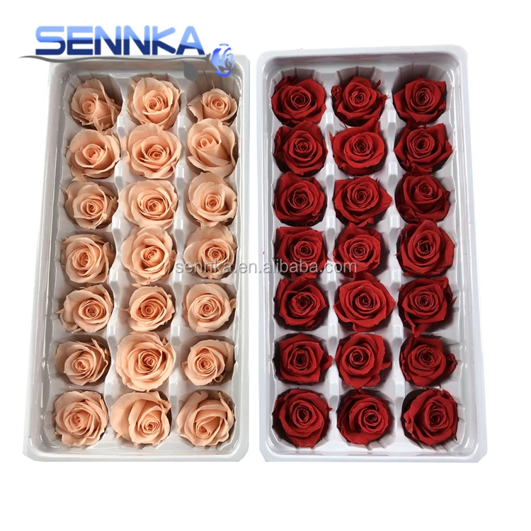 Оптовая продажа, свежий натуральный цветок лучшего качества для украшения