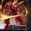 B1183 Kai Wushishi