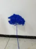 blu reale