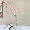 Rose nu