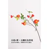 Small branch with four fruits and flowers, pomegranate, red